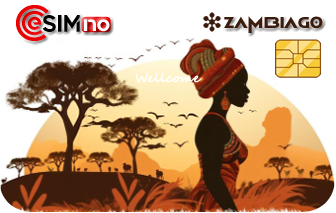 Zambia Go