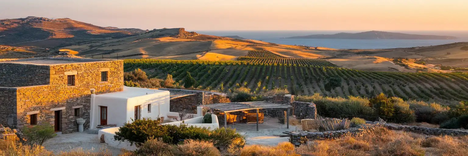 Mykonos Vioma Organic Farm with traditional Cycladic buildings, olive groves, and Aegean Sea views at golden hour